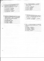 /album/test-three/t3m-jpeg/